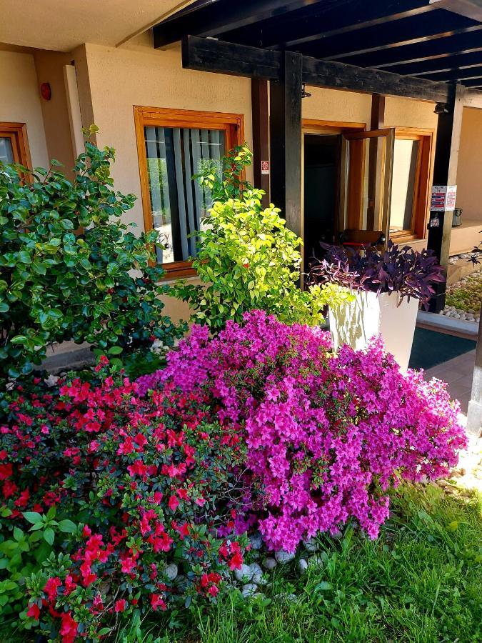 Montebello Park Hotel Περούτζια Εξωτερικό φωτογραφία